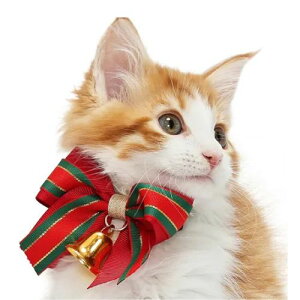 y[ցzCAT Amo.k A[NX Lbg@WOx S M TCY Lp Z[teBobN 810113