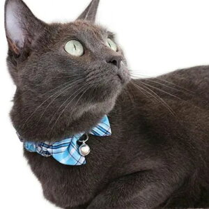 y[ցzCAT Amo.k A[NX Lbg@XvO`FbN J[ sN u[ S M TCY Lp Z[teBobN 810016