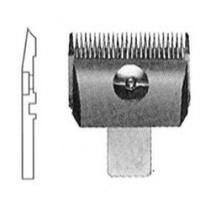 ÿꕔی쌢ցzXs[fBN ʑ֐n cђ 2mm 1