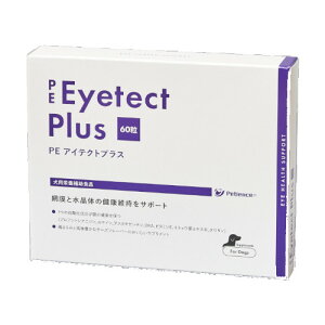 ÿꕔی쌢ցzPE ACeNgvX@60