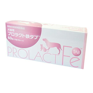 ÿꕔی쌢ցzLpvNgS^u 60 Lp ybgp ɗD S tBbV  N Tvg