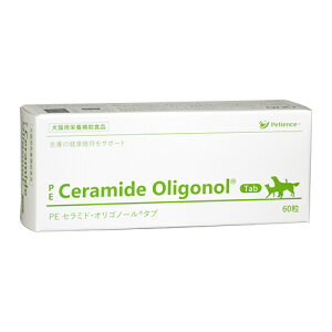 ÿꕔی쌢ցzPE Z~hEISm[ ^u Lp ybgp 畆 Nێ XLPA