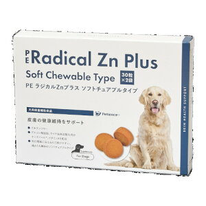 ÿꕔی쌢ցzPE WJZnvX \tg`Au^Cv 60 p 畆 N XLPA Oet[ݖ