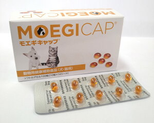 ÿꕔی쌢ցzGMLbv@100