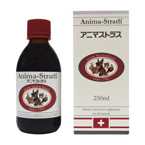 ÿꕔی쌢ցzAj}XgX@Lbh@250ml Ɖu͌ L  bg  nX^[ GL]`bN ѕ݉P