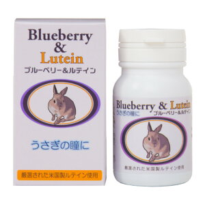 ÿꕔی쌢ցz̓Ƀu[x[eC 60GL]`bN bg  `` ACPA Tvg