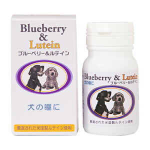 ÿꕔی쌢ցz̓Ƀu[x[&eC 60 p p ACPA ڂ̌N ps[ VjA Y {  N