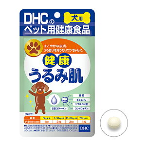 ÿꕔی쌢ցzDHC Nݔ@60 p p ybgp XLPA  Tvg N 畆  `L