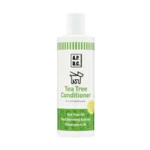 ÿꕔی쌢ցzA.P.D.C.eB[c[RfBVi[ 250ml p pX Ƃ cc p pRfBVi[