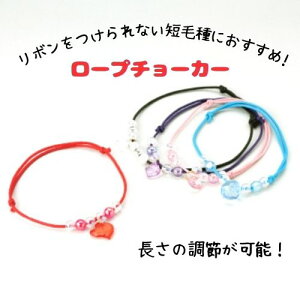 ÿꕔی쌢ցz[v`[J[ 1Zbg(10{) g~O  ߉ Zю p ł p pObY pG