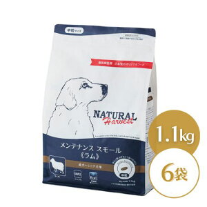 yŐVz i`n[xXg eiXX[  1.1kg×6 hbOt[h hC p VjAp ʗ   ̂ pt[h ̉a ̂ GT a  V