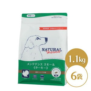 yŐVz i`n[xXg eiXX[ ^[L[ 1.1kg×6 hbOt[h hC  VjA ʗ   VjA V ̉a GT ̂ ̂ h{H 