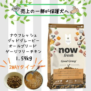 yKiziEtbV ObhO[r[I[u[h Q[Wt[`L 1.59kg hbOt[h hC ^ p h{H ^  NOWFRESH q[}O[h  EGbg 