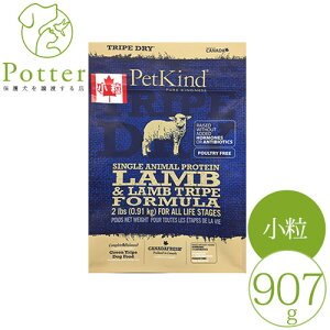 yybgJChzp(SN)gCvhC SAPO[gCv()907g