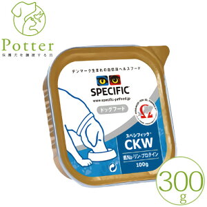 XyVtBbN p CKW 300g×1 EFbgt[hÖ@H