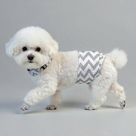 【新商品限定価格！】マナーベルト 犬 男の子 洗える メッシュ裏地 お漏らし対策 3サイズ マーキング防止 外側防水加工 ウェストサイズ調整可能 吸収層付き 介護用 おむつ オス 洗濯可能 Japapet
