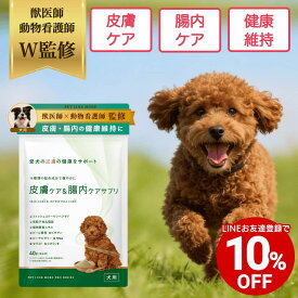 【LINEお友達クーポンで10%OFF】【公式】獣医師監修 犬用 皮膚 × 腸内 ケア サプリメント 粉末40g ペットリンクモア 犬 いぬ ペット 被毛 チキン ビタミン コラーゲン ローヤルゼリー ラクトフェリン 保湿 代謝