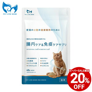 y20%OFFX[p[SALEzyzbtďC Lp  × Ɖu PA Tvg 40g ybgNA L ˂ ybg   L-W W  ڃj _ ѕ  