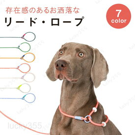 小型犬用リード 訓練用犬用スリップリード 脱走防止 中型犬用 ネックスリップハーネス ハーネスダブルリミットデザイン 訓練リード ペット用品 チェーン 引っ張り防止リード 噛み付き防止犬用リード 訓練用リーシュ ペット咬傷防止ロープ