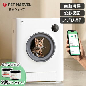 _10/2520%OFF  35,584~^ PET MARVEL  yL2v[gz gC Magic Cube }WbNL[u LpgC LgC  Av | ybg}[x