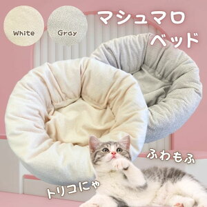 y200~OFFN[|zӂӂybgxbh  L S SL 􂢉\ I[V[Y ʔN zCg O[ pxbg Lpxbg ̃NbV {[ 炩 }V}