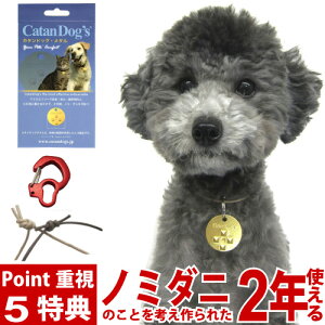 ペットの防虫対策に 虫よけグッズ 首輪 バンダナ 洋服など のおすすめランキング わたしと 暮らし