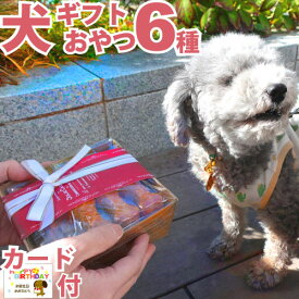 【送料無料】 犬用 国産 無添加 おやつ ギフト 6種セット 犬 詰め合わせ プレゼント おしゃれ かわいい ラッピング 誕生日 ボックス ご褒美 ご馳走 ジャーキー クッキー 常温 ドッグフード 小分け バースデー 嬉しい 喜ぶ 食べ物 お菓子 お礼 お祝い 愛犬家