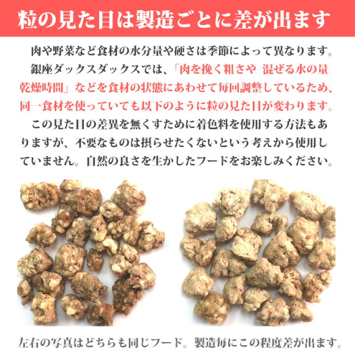 楽天市場】銀座ダックスダックス DD 全犬種対応 ホームメイド 