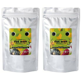 【無添加・国産・手作り】ドットわん野菜＜フリーズドライ・犬用栄養補完食＞（45g）×2個セット