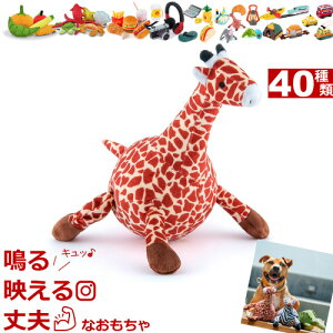 犬 おもちゃ 音 ホビーの人気商品 通販 価格比較 価格 Com
