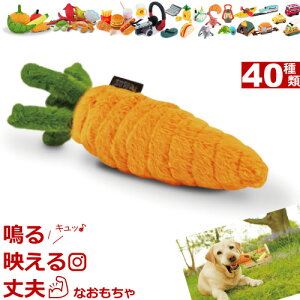    ʂ P.L.A.Y. TOY  ɂ񂶂  킢 p  Garden Fresh Plush Toys i K[ftbV j Carrot Lbg PLAY vC gC  ^ ^ ^