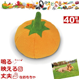    ʂ P.L.A.Y. TOY  ڂ  킢 p  Garden Fresh Plush Toys i K[ftbV j PLAY vC gC pvL  ^ ^ uh[