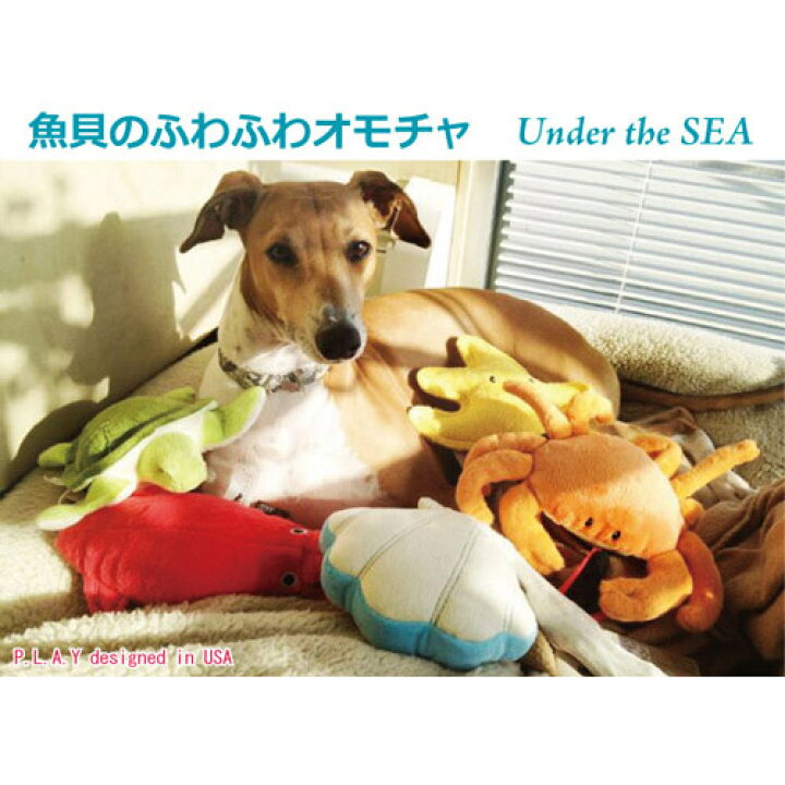 楽天市場 あす楽対応 犬 おもちゃ 音が鳴る ぬいぐるみ P L A Y Toy かに かわいい犬用おもちゃ Under The Sea アンダー ザ シー キングクラブ Play プレイ トイ ナチュラルペットフード Shop