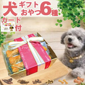 ≪限定≫【たっぷりおやつギフト】が ＼今だけ6種と同価格／ 犬用 国産 無添加 おやつ ギフト 6種セット 犬 詰め合せ プレゼント かわいい ラッピング 誕生日 ボックス ご褒美 ジャーキー クッキー 小分 個包装 バースデー 嬉しい 喜ぶ お菓子 お礼 お祝い 愛犬家 送料無料