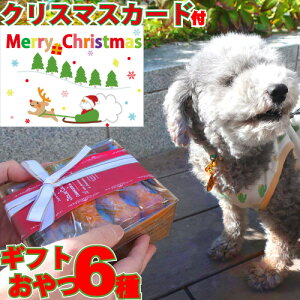 yz p Y Y  NX}XMtg 6Zbg  lߍ킹 v[g  킢 bsO {bNX J y W[L[ NbL[ 퉷 hbOt[