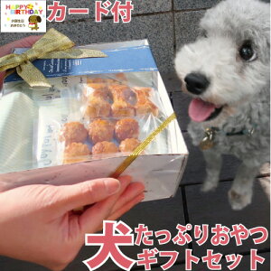 yz p Y Y Ղ  Mtg Zbg  lߍ킹 v[g  킢 bsO a {bNX J y W[L[ NbL[ 퉷 hbOt