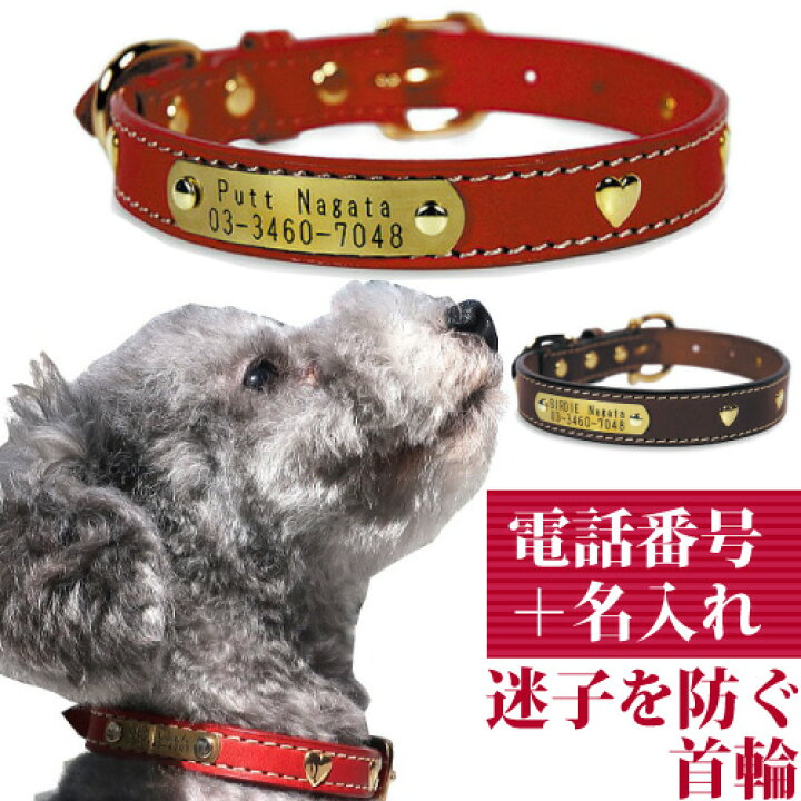 楽天市場 犬 首輪 迷子札 名入れ 名前入 革 本革 犬用 Birdie ハートメタルid カラー サイズ27 21 27cm 名前 連絡先 電話番号 の プレート を 固定 国産 地震 災害 対策 おしゃれ かわいい 仔犬 ダックスフンド トイ プードル シュナウザー 小型犬 バーディ