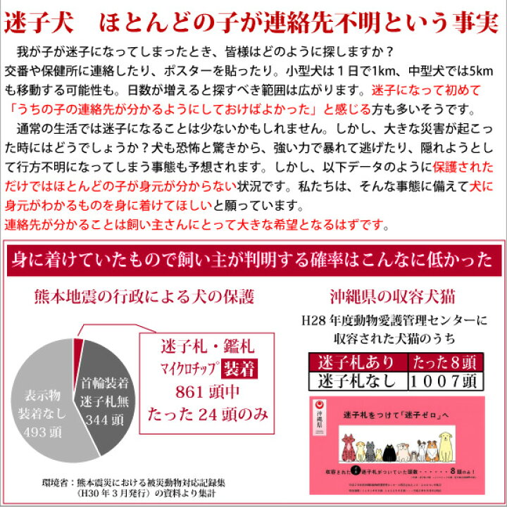 楽天市場 犬 首輪 迷子札 名入れ 名前入 犬用 Birdie スターデニムid カラー サイズss 27cm 名前 連絡先 電話番号 の プレート を 固定 国産 地震 災害 対策 おしゃれ かわいい 洗濯可 バーディ チワワ ヨーキー トイプードル パピー 小型犬 鑑札 紛失 楽天市場 犬 首輪 迷子札 名入れ 名前入 犬用 Birdie スターデニムid カラー サイズss 27cm 名前 連絡先 電話番号 の プレート を 固定 国産 地震 災害 対策 おしゃれ かわいい 洗濯可 バーディ チワワ ヨーキー トイプードル パピー 小型犬 鑑札 紛失