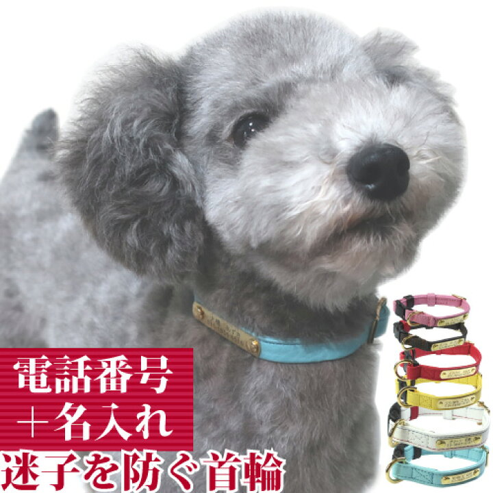 楽天市場 犬 首輪 迷子札 名入れ 名前入 革 本革 犬用 Birdie ジェントルid カラー サイズss 16 21cm 名前 連絡先 電話番号 の プレート を 固定 国産 地震 災害 対策 おしゃれ かわいい バーディ チワワ ヨーキー トイプードル 小型犬 バーディ 鑑札
