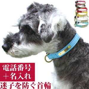   qD  O v {v p BIRDIE WFgID J[ TCYFSS`M O A dbԍ  v[g  Œ Y nk ЊQ ΍  킢 o[fB ps[ 
