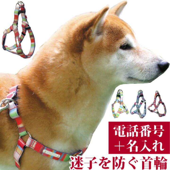 楽天市場 犬 ハーネス 迷子札 名入れ 名前入 Birdie マルチボーダーidハーネス サイズl 48 72cm 名前 連絡先 電話番号 の プレート を 固定 国産 地震 災害 対策 おしゃれ かわいい 洗濯可 柴犬 フレンチブル ボーダーコリー 中型犬 バーディ 鑑札 紛失 心配 迷子