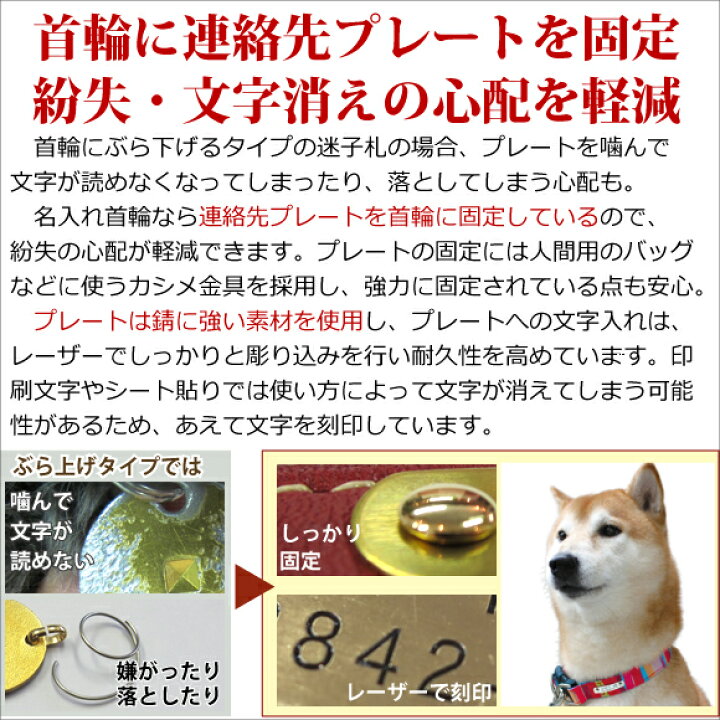 楽天市場 犬 首輪 迷子札 名入れ 名前入 革 本革 犬用 Birdie ジェントルid カラー サイズss 16 23cm 名前 連絡先 電話番号 の プレート を 固定 国産 地震 災害 対策 おしゃれ かわいい バーディ チワワ ヨーキー トイプードル 小型犬 バーディ 鑑札