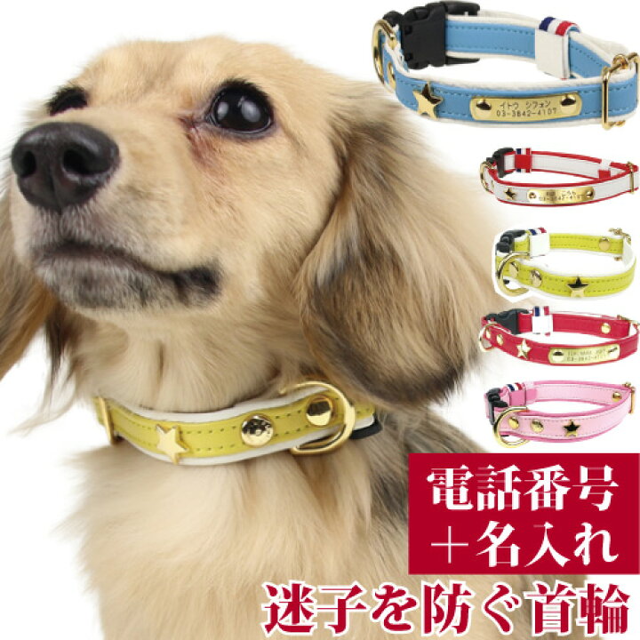 楽天市場 犬 首輪 迷子札 名入れ 名前入 革 本革 犬用 Birdie スターソフトレザーid カラー サイズm 首囲31 43cm 名前 連絡先 電話番号 の プレート を 固定 国産 地震 災害 対策 おしゃれ かわいい バーディ シュナウザー 柴犬 コーギー コリー 中型犬 バーディ