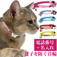 猫 首輪 迷子札 名入れ 名前入 鈴 安全 反射 セーフティバックル 猫用 BIRDIE CAT'S蓄光ラインIDカラー …