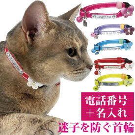 猫 首輪 迷子札 名入れ 名前入 鈴 安全 反射 セーフティバックル 猫用 BIRDIE CAT'S蓄光ラインIDカラー 【サイズ 首囲19-26cm】 名前 連絡先 電話番号 の プレート を 固定 国産 地震 災害 対策 おしゃれ かわいい 鑑札 紛失 迷子 ねこ ネコ 子猫 鈴