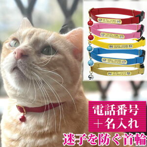 L  qD  O  S Z[teBobN Lp BIRDIE CAT'SIDJ[ZCteB yTCY 18-27cmz O A dbԍ  v[g  Œ Y nk ЊQ ΍  