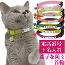 猫 首輪 迷子札 名入れ 名前入 鈴 安全 猫用 BIRDIE CAT'SIDカラー 【サイズ 首囲18-27cm】 名前 連絡先 電話番号 の …