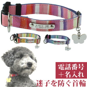 犬用 リード Birdieの人気商品 通販 価格比較 価格 Com