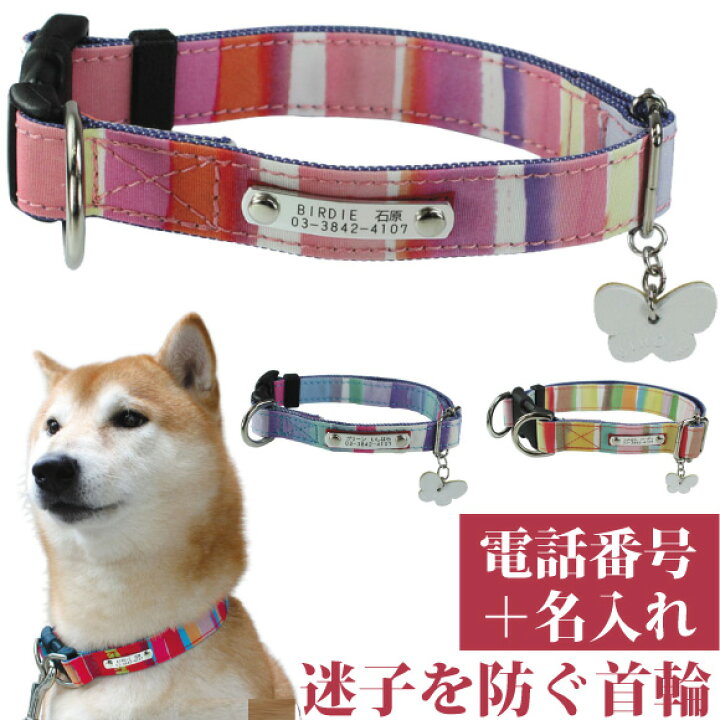 楽天市場 犬 首輪 迷子札 名入れ 名前入 犬用 Birdie マルチボーダーid カラー サイズm 28 40cm 名前 連絡先 電話番号 の プレート を 固定 国産 地震 災害 対策 おしゃれ かわいい 洗濯可 バーディ 柴犬 ボーダーコリー コギー 中型犬 鑑札 紛失 心配