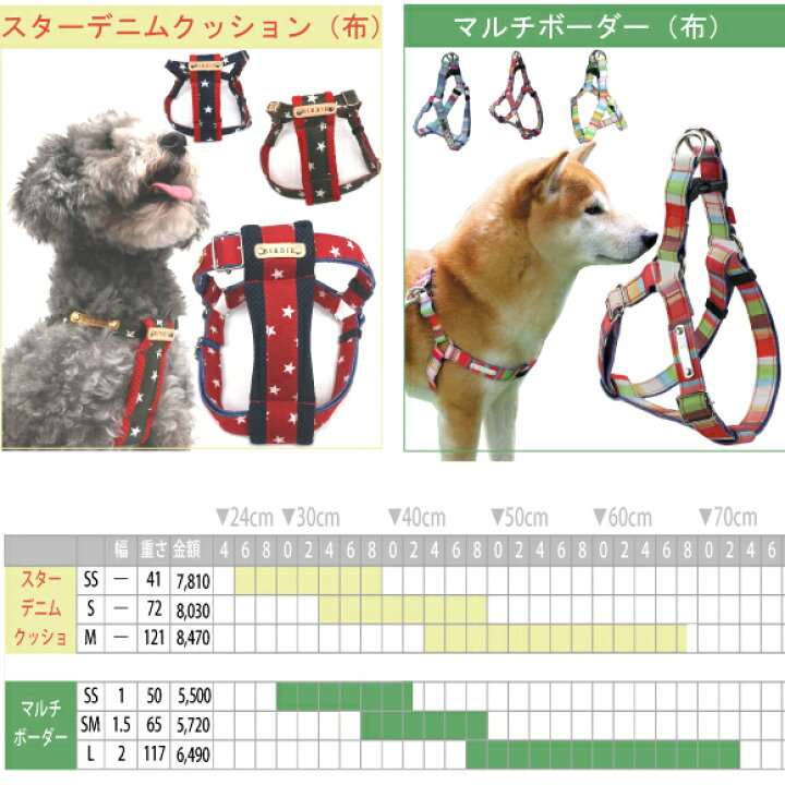 楽天市場 犬 首輪 迷子札 名入れ 名前入 革 本革 犬用 Birdie ジェントルid カラー サイズs 24cm 名前 連絡先 電話番号 の プレート を 固定 国産 地震 災害 対策 おしゃれ かわいい バーディ ダックスフンド トイ プードル 小型犬 中型犬 バーディ